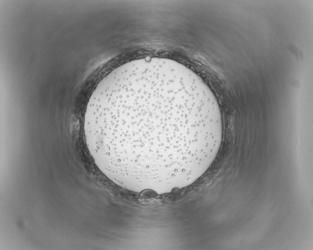 X0000115241302200911271835