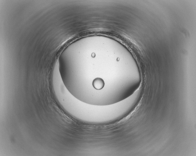 X0000115241305200911271835