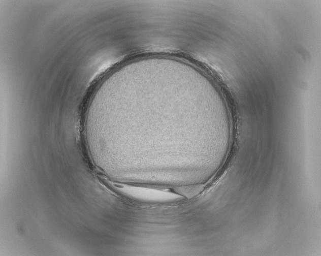 X0000115241306200911271835