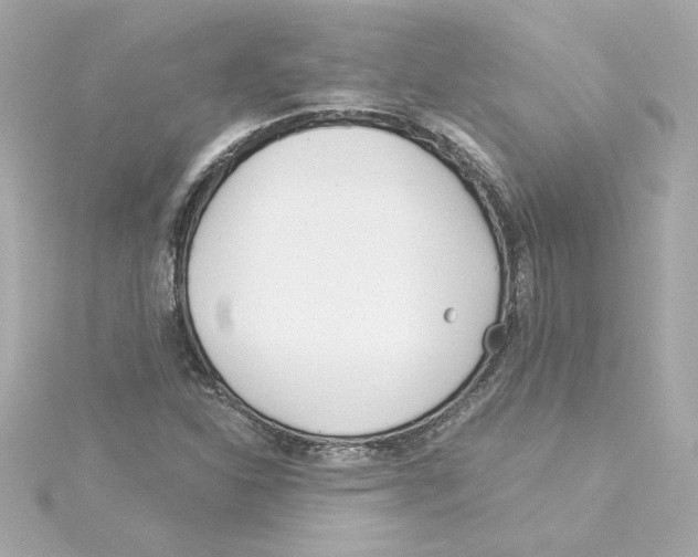 X0000115241310200911271835