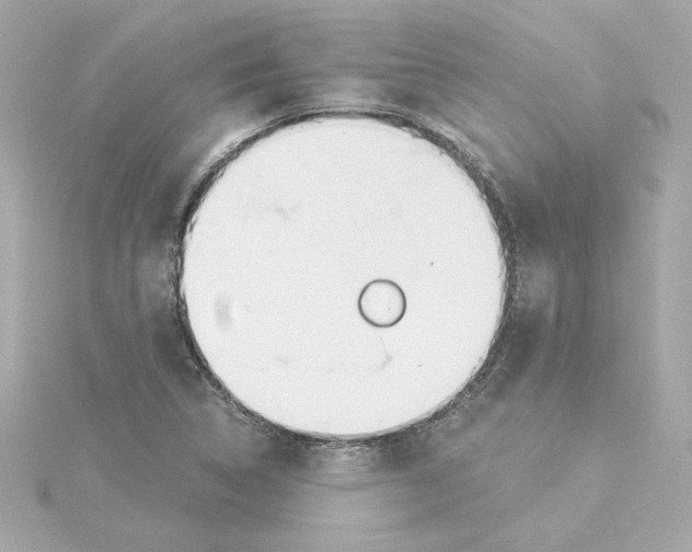 X0000115241314200911271835