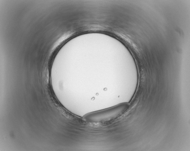 X0000115241317200911271835