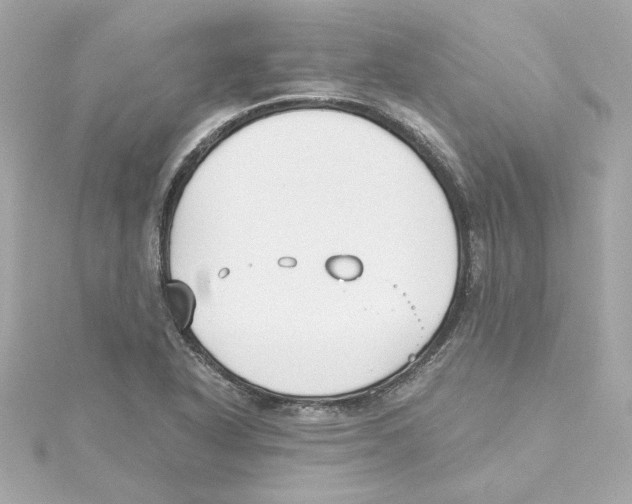 X0000115241318200911271835