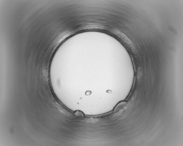 X0000115241321200911271835