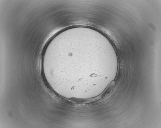 X0000115241323200911271835