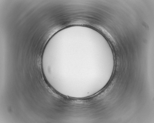 X0000115241329200911271835