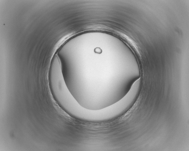 X0000115241330200911271835