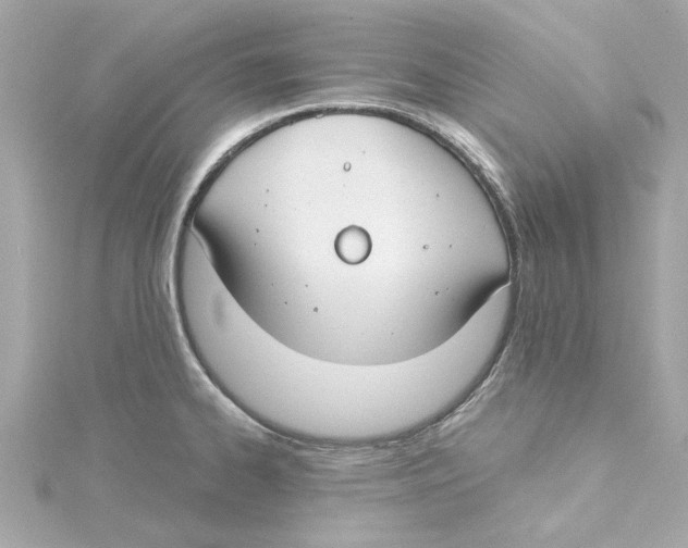 X0000115241334200911271835