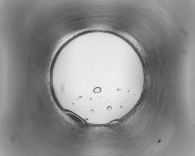 X0000115241335200911271835