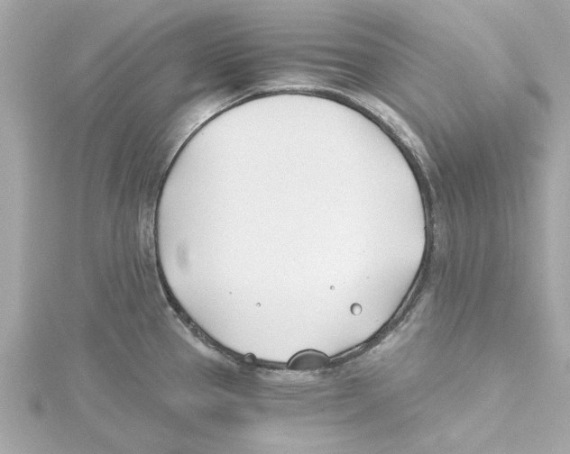 X0000115241337200911271835