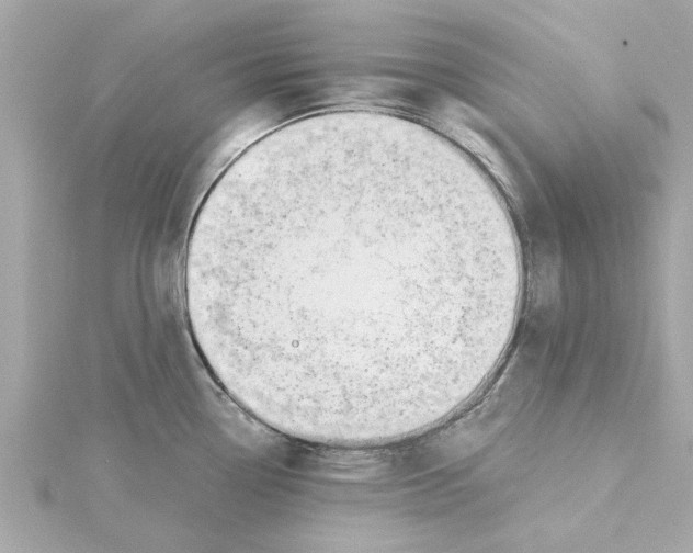 X0000115241338200911271835