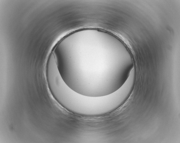 X0000115241342200911271835