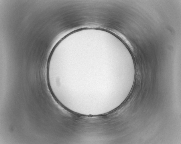 X0000115241343200911271835