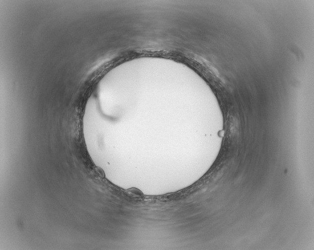 X0000115241350200911271834