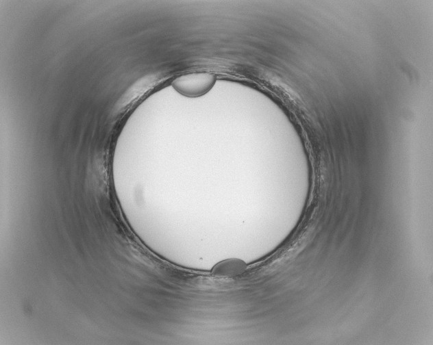 X0000115241354200911271834