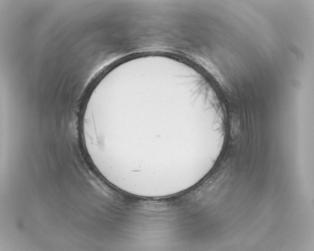 X0000115241356200911271834