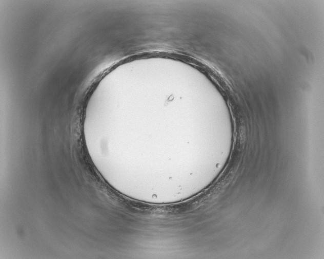 X0000115241359200911271834