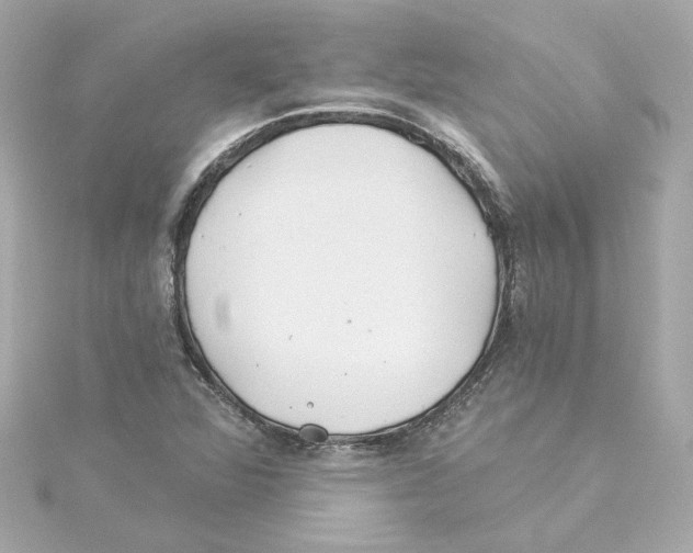 X0000115241360200911271834