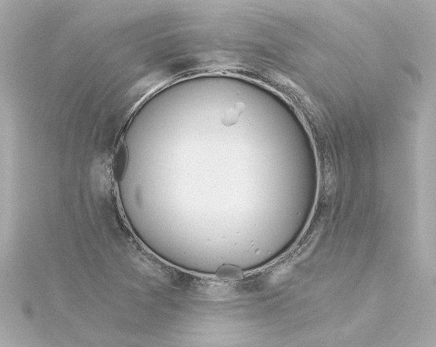 X0000115241361200911271834