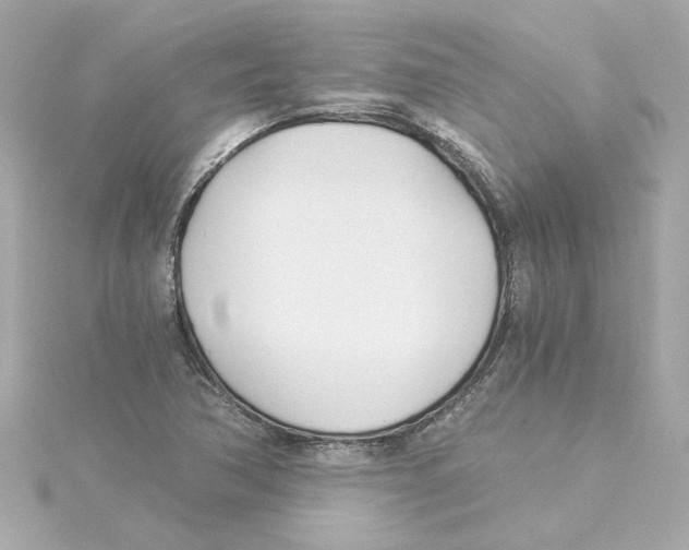 X0000115241362200911271834