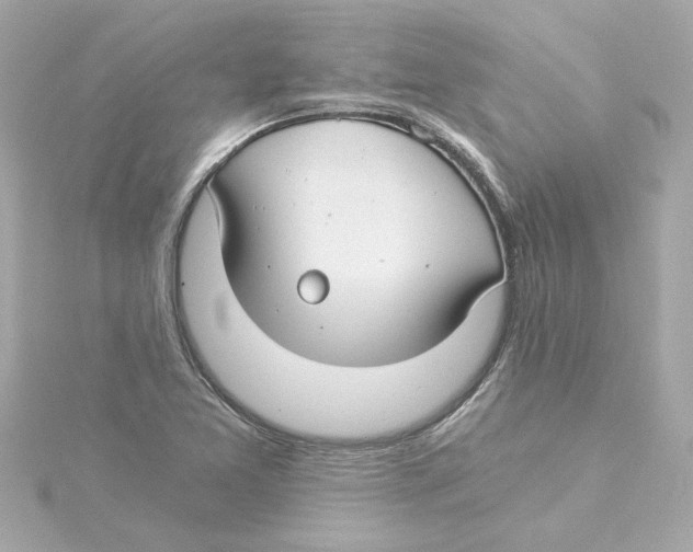 X0000115241365200911271834