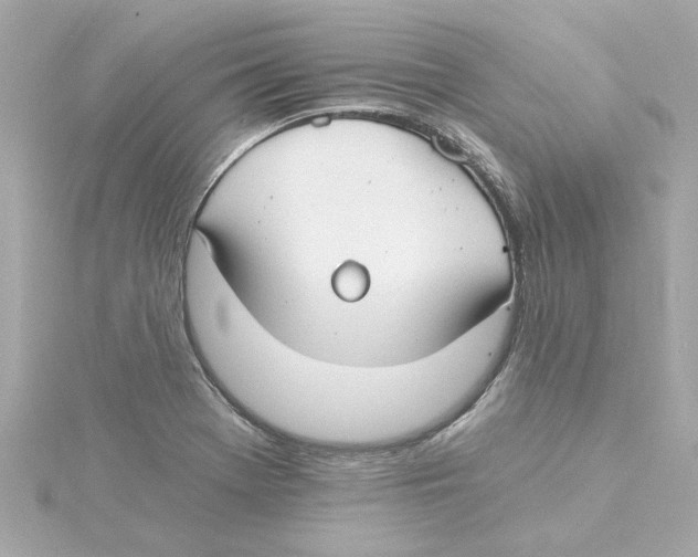 X0000115241369200911271834