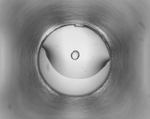 X0000115241373200911271834