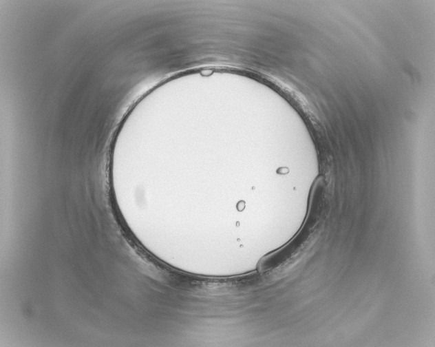 X0000115241375200911271834