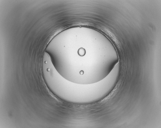 X0000115241377200911271834