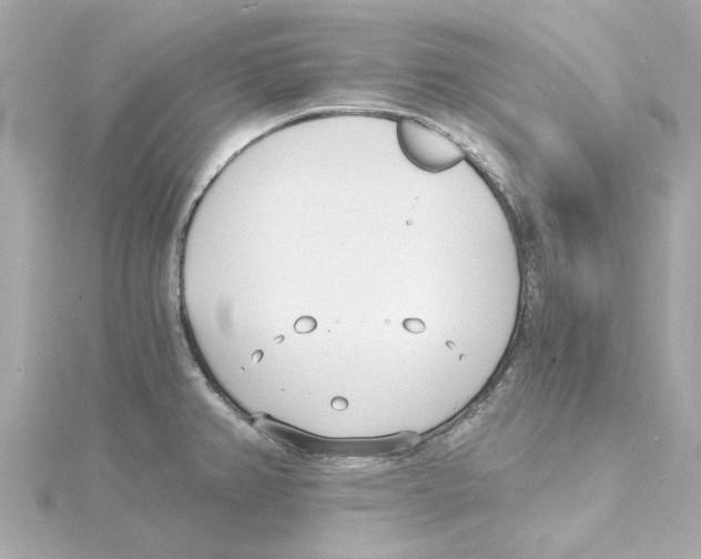 X0000115241382200911271834