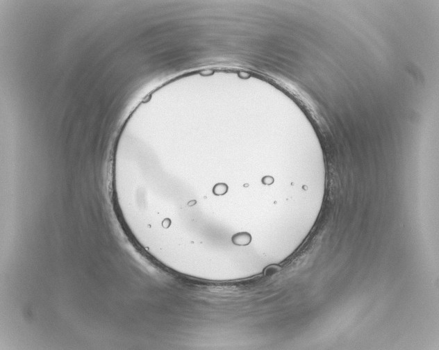 X0000115241383200911271834