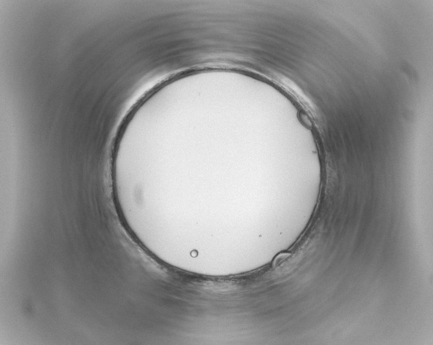 X0000115241384200911271834