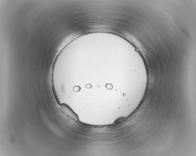 X0000115241386200911271834