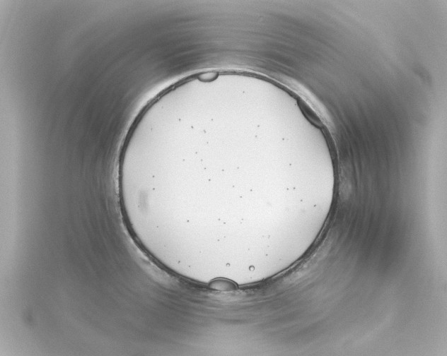 X0000115241388200911271834