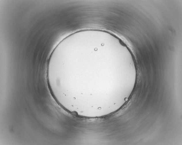 X0000115241390200911271834