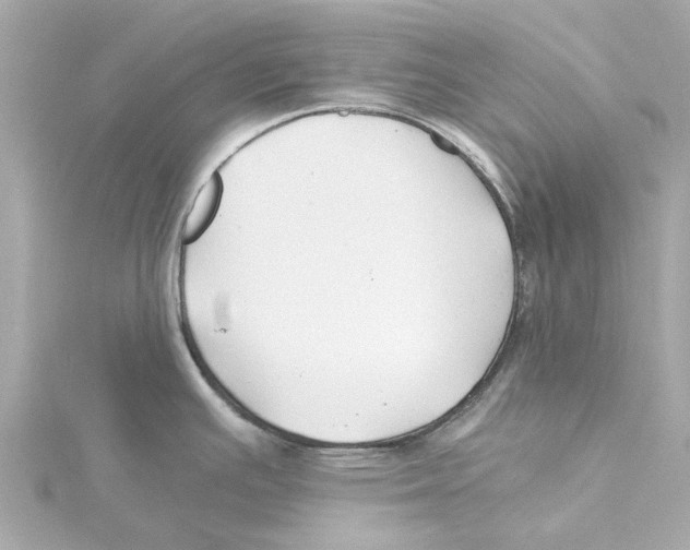 X0000115241391200911271834