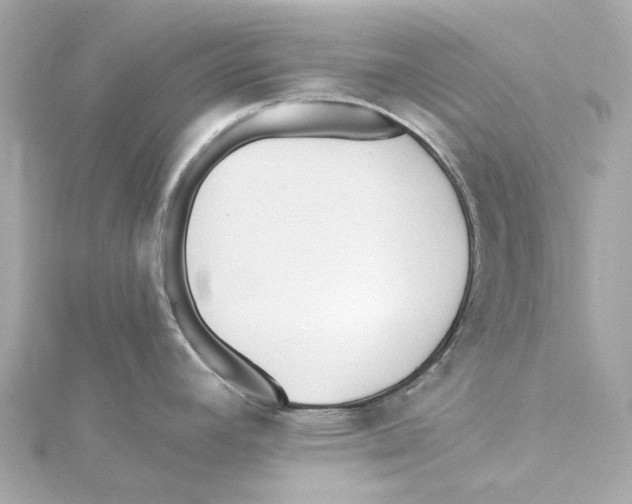 X0000115241392200911271834