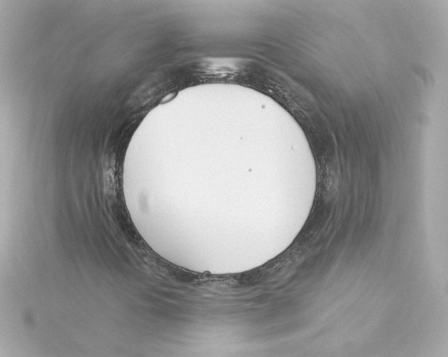 X0000115241394200911271833