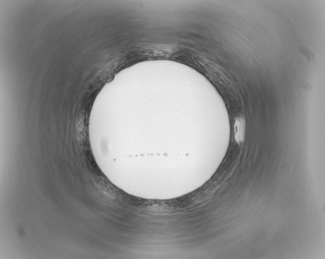 X0000115241395200911271833