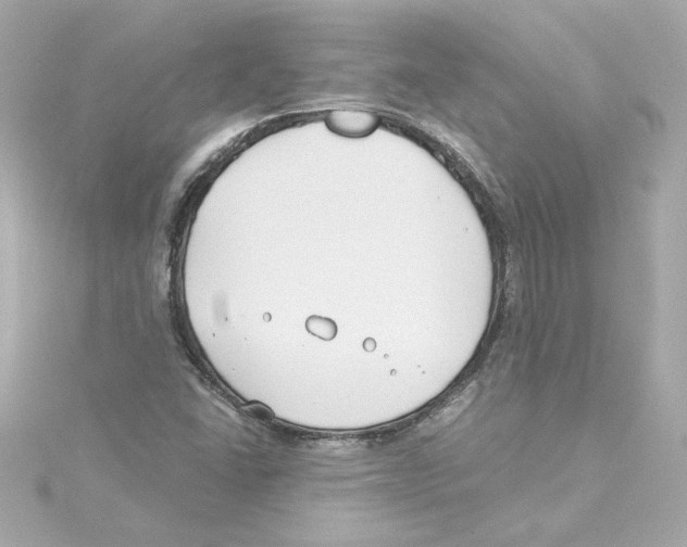 X0000115241406200911271833