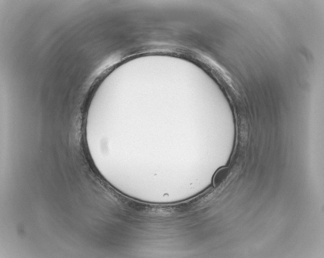 X0000115241411200911271834