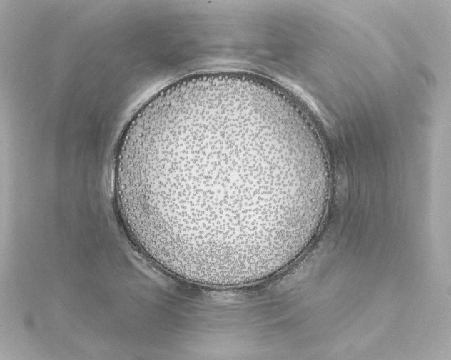 X0000115241413200911271834