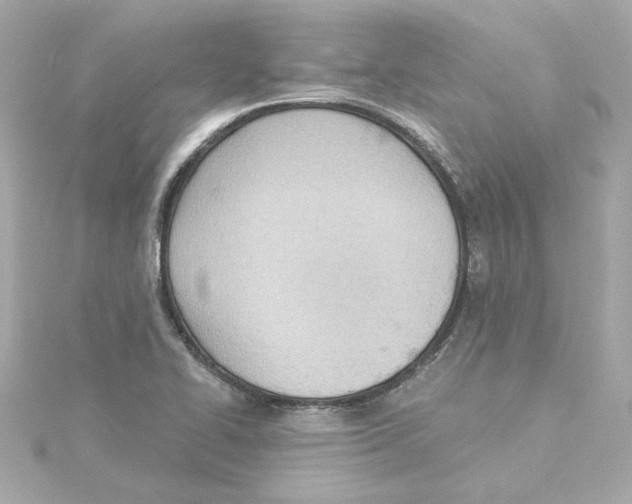 X0000115241414200911271834