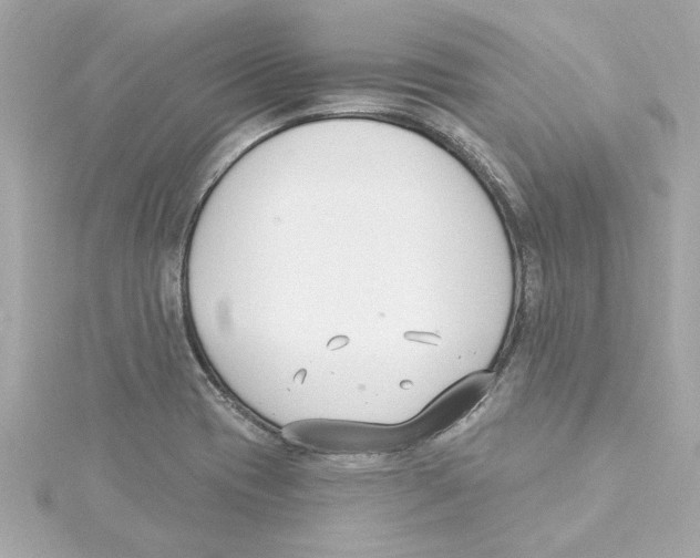 X0000115241417200911271834