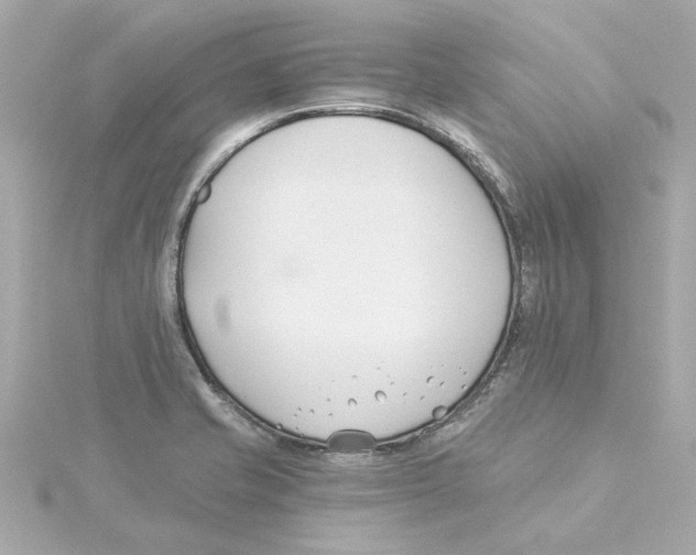 X0000115241421200911271834