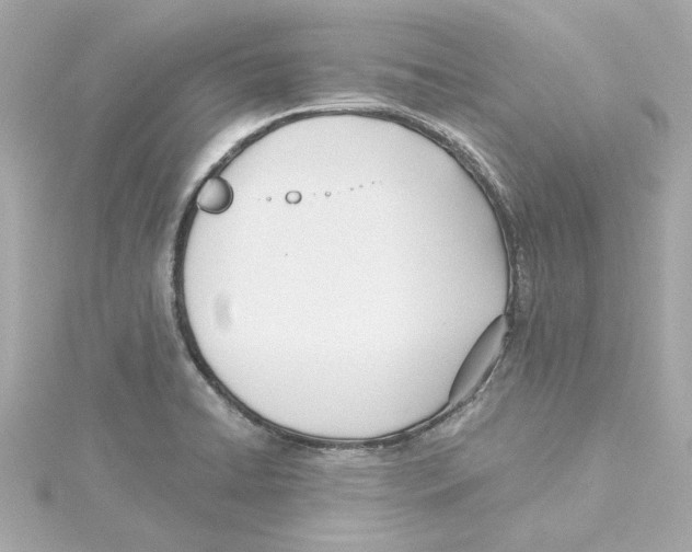 X0000115241422200911271834