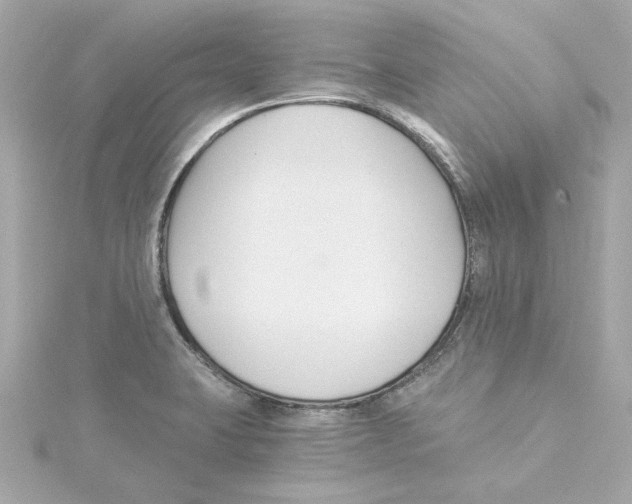 X0000115241423200911271834