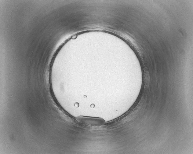 X0000115241424200911271834