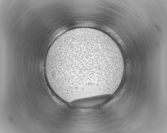 X0000115241425200911271834