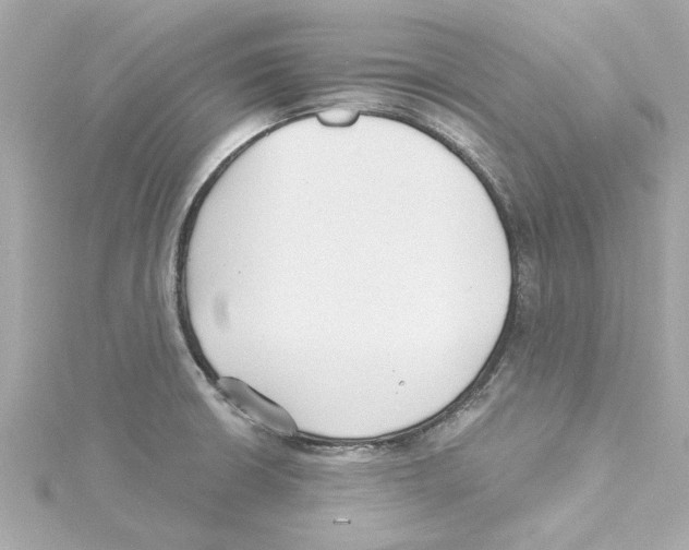 X0000115241426200911271834